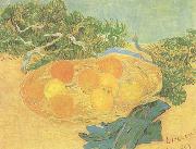 Still life:Oranges,Lomons and Blue Gloves (nn04)